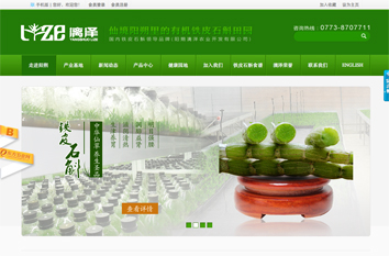 阳朔漓泽营销型网站案例展示- 阳朔漓泽营销型网站案例展示-